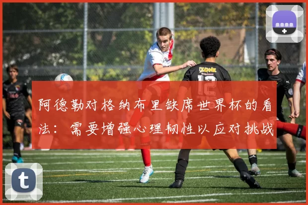 阿德勒对格纳布里缺席世界杯的看法：需要增强心理韧性以应对挑战