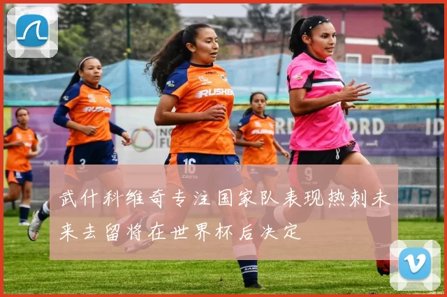 武什科维奇专注国家队表现热刺未来去留将在世界杯后决定